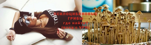 ECSTASY Вяземский
