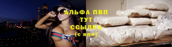 apvp Вязьма