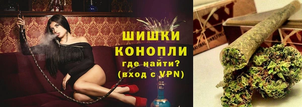 ECSTASY Вяземский